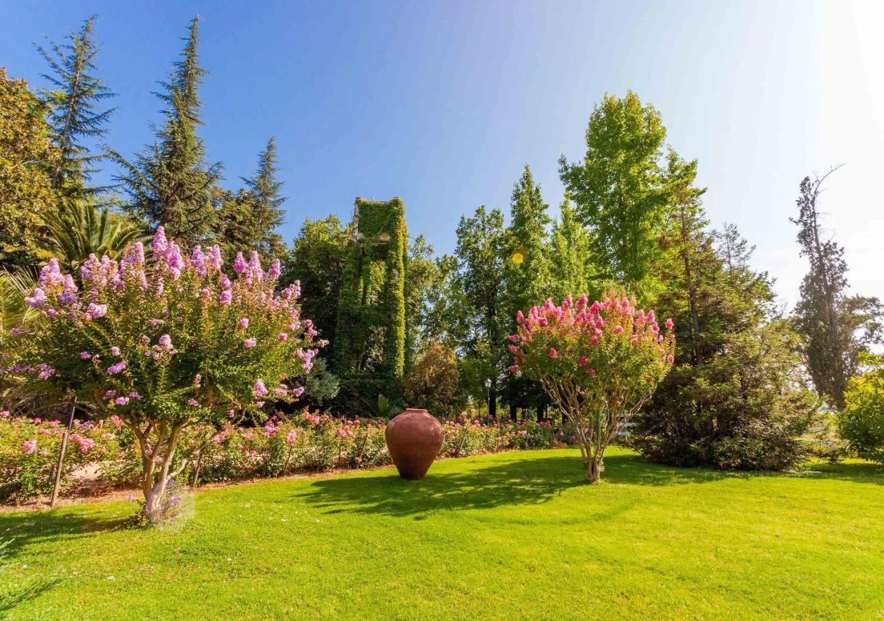 Hotel Boutique Almahue Pichidegua Buitenkant foto